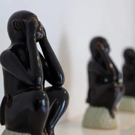 Отель Crisol Lumiere