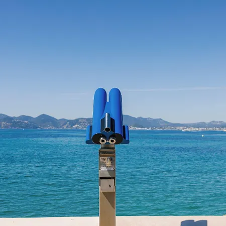 Crisol Lumiere Cannes