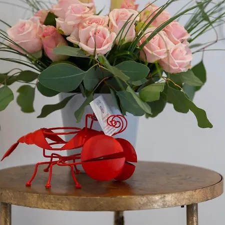 Crisol Lumiere 호텔 칸느