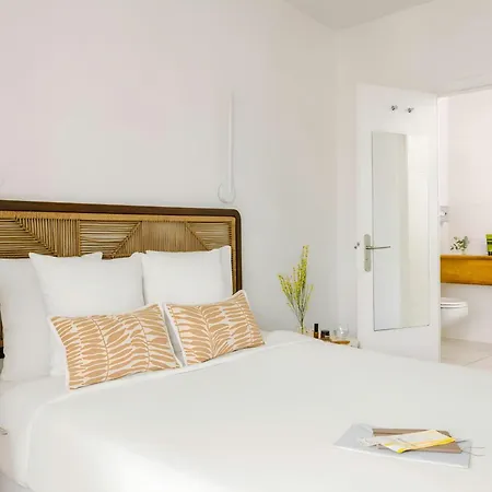 Crisol Lumiere Cannes